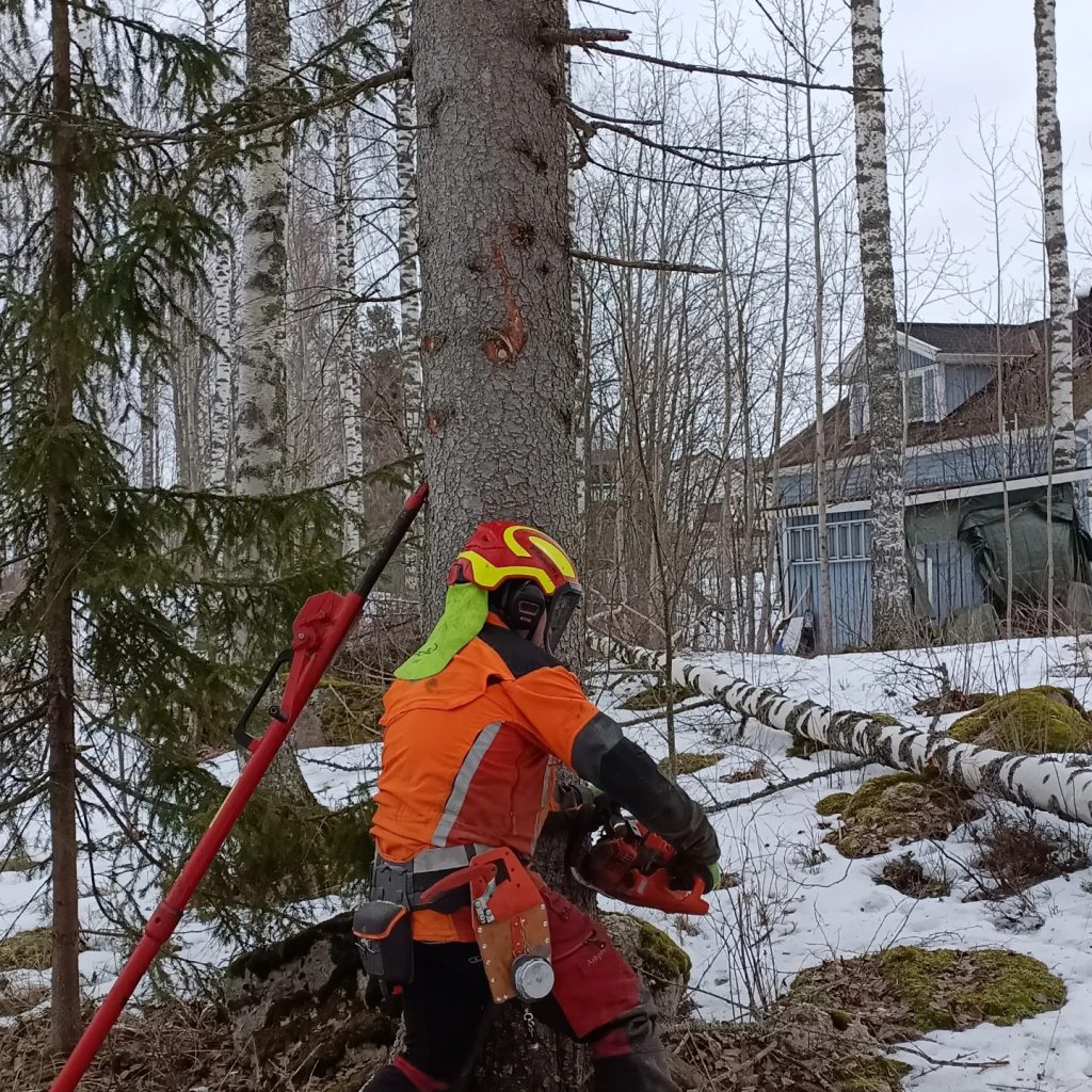 Metsäpalvelut, metsuri, puunkaato